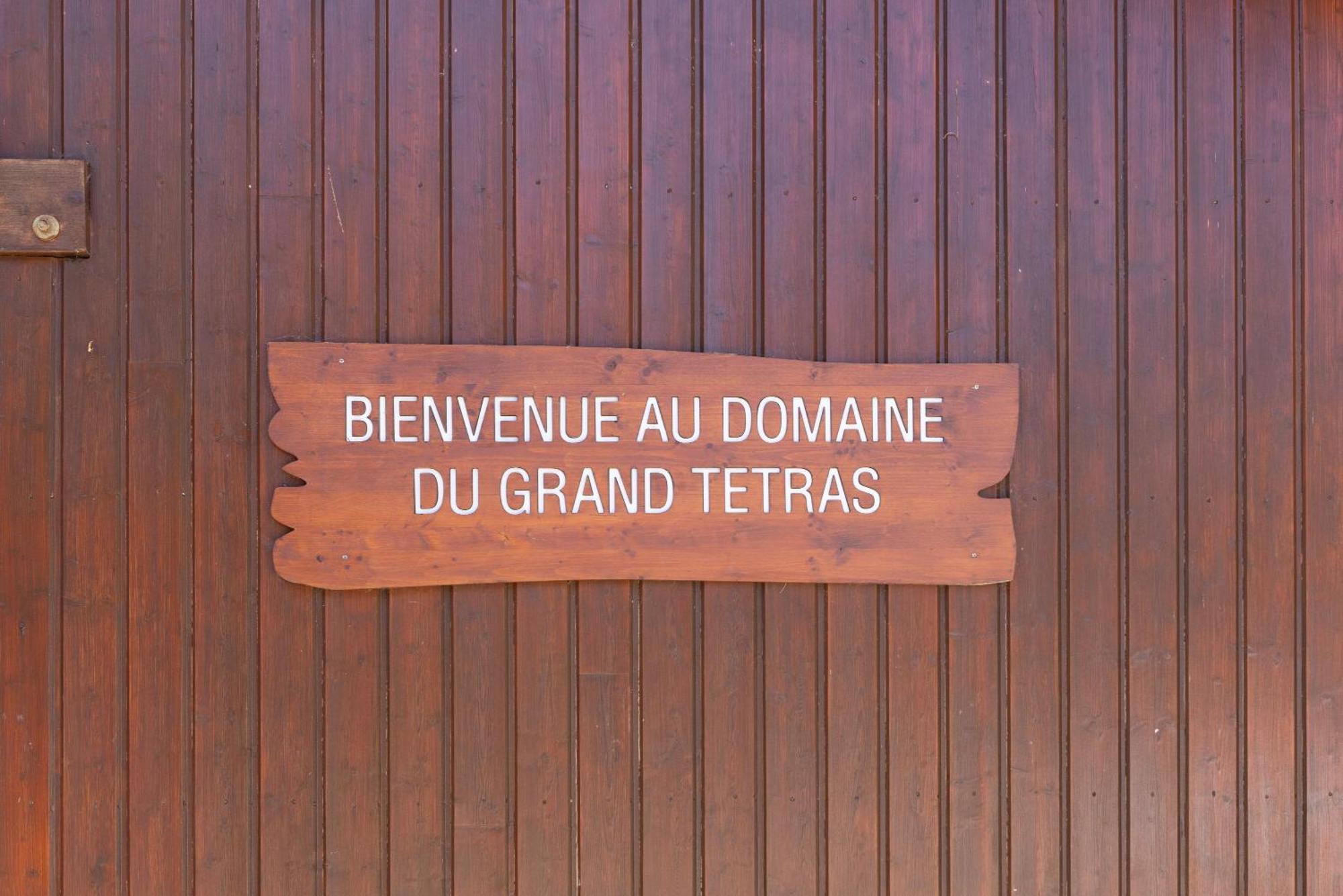 Appt Le Grand Tetras F14 - 4 Pers Apartment Samoëns Exterior foto
